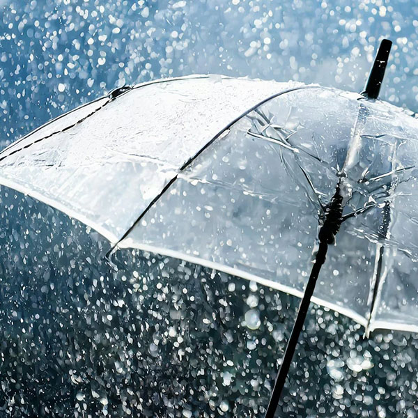 regen storm